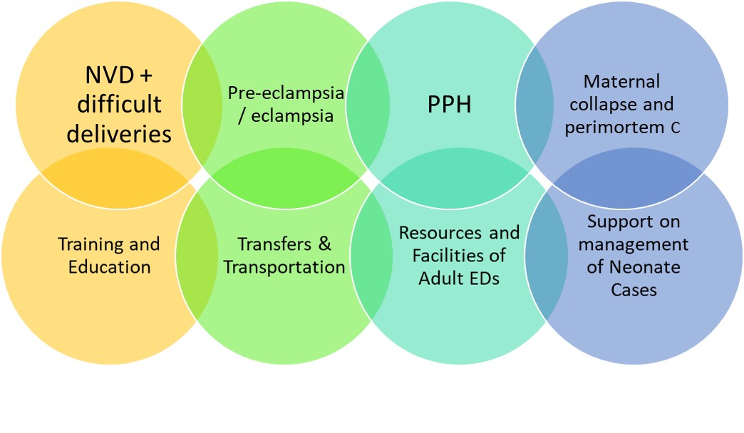 obgynpaeds-workgroup.jpg