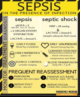 sepsis2.jpg