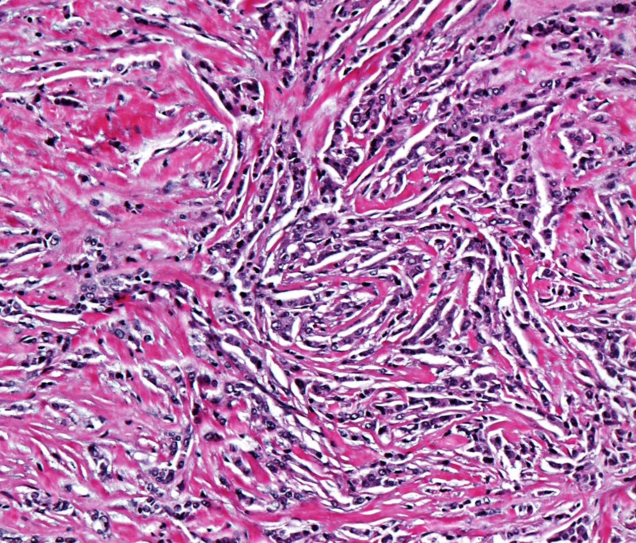 Services at Advanced Molecular Pathology Lab (AMPL)