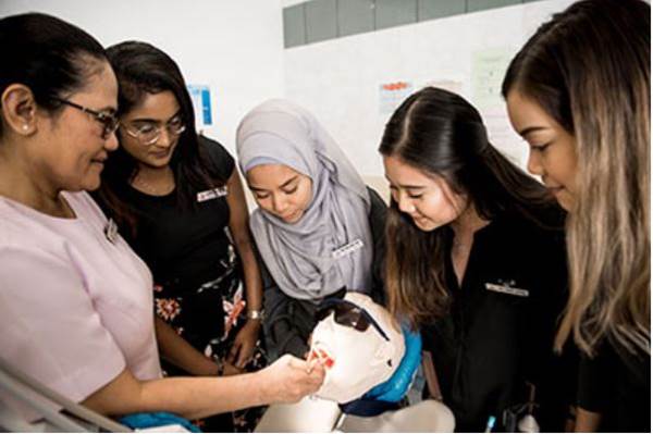Dental Professional Training