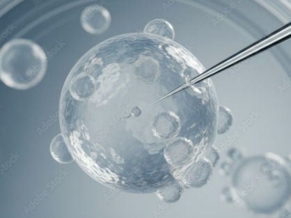 Our Research 