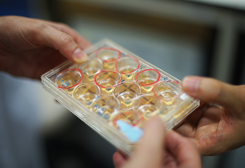 Finding a Cure