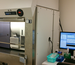 Staff-Assisted Cell Sorting