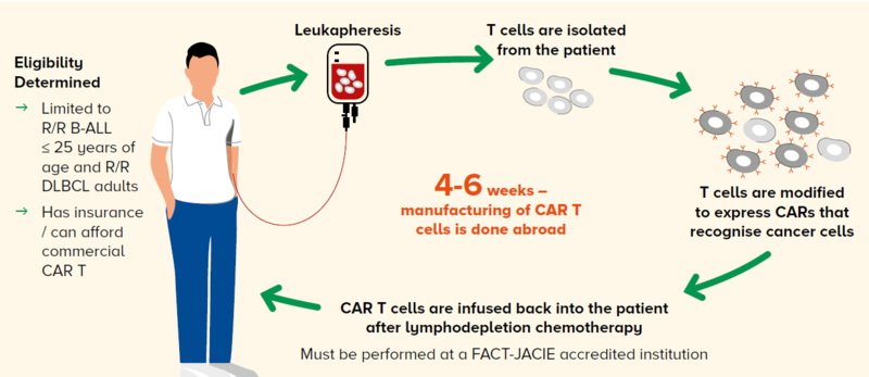 CAR T workflow - SingHealth Duke-NUS Cell Therapy Centre