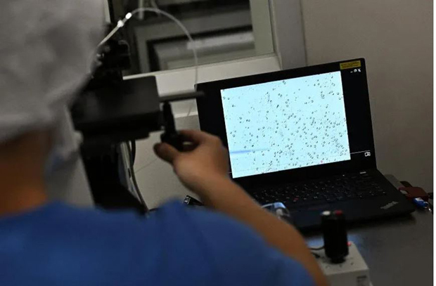  ​An embryologist at KKH looking for healthy sperm. One technique involves steps like selecting and injecting sperm directly into an egg. ST PHOTO LIM YAOHUI 