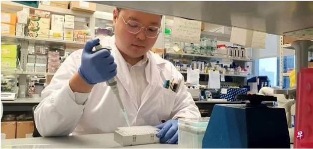  ​新加坡中央医院药剂部研究员杨济豪博士采用行流式细胞术缩短细菌检测时间，更快地找出有效的抗生素，让病患更及时地接受治疗，挽救生命。（新加坡中央医院提供） 