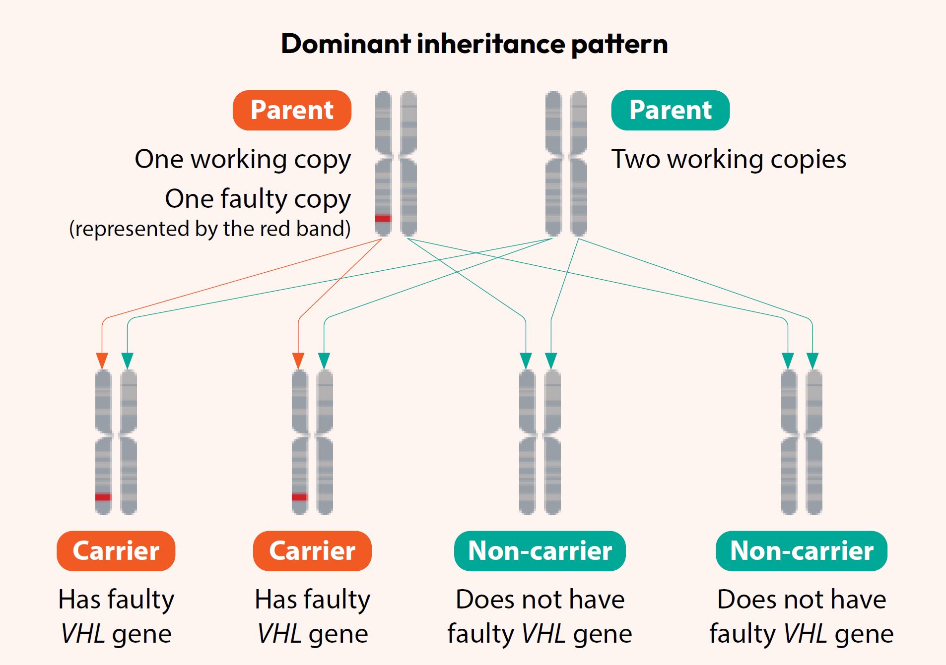 Dominant inheritance pattern - Von Hippel-Lindau Syndrome