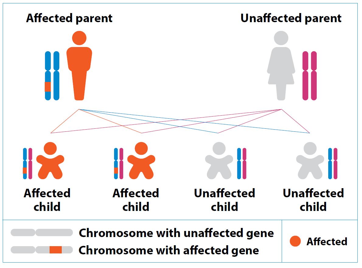 Autosomal dominant IRDs